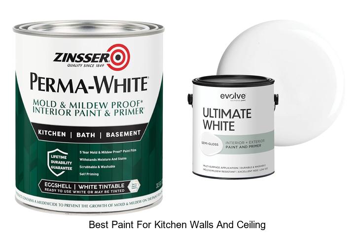 best paint for kitchen walls and ceiling