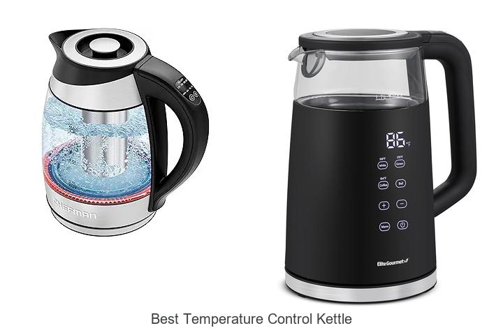 best temperature control kettle