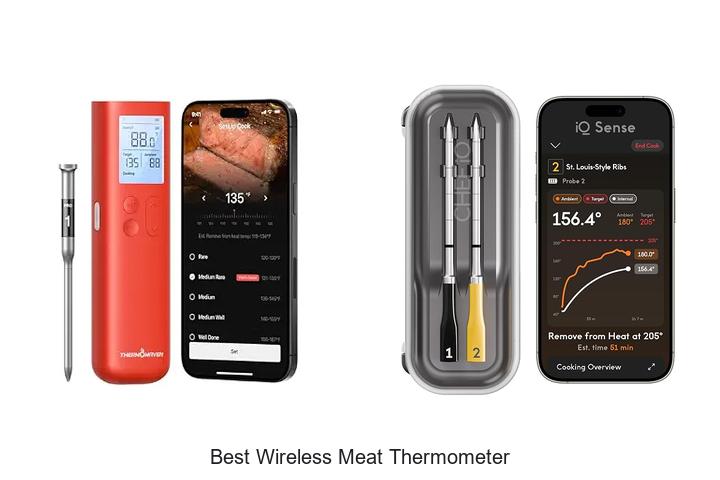 best wireless meat thermometer