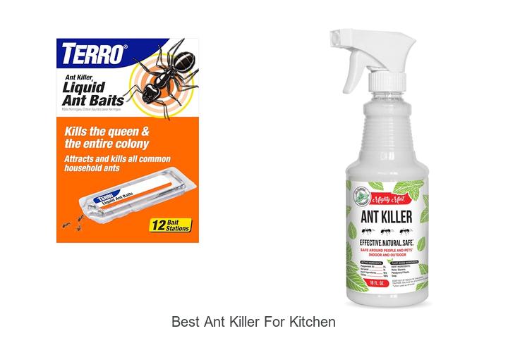 best ant killer for kitchen