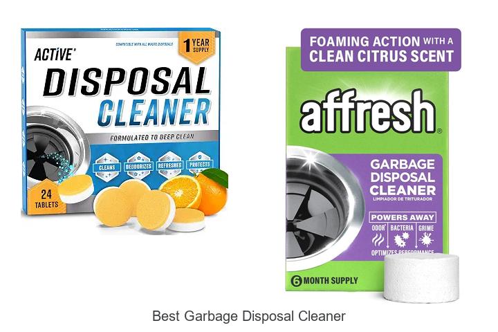 best garbage disposal cleaner