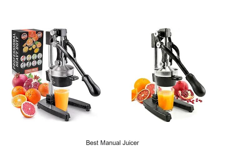best manual juicer