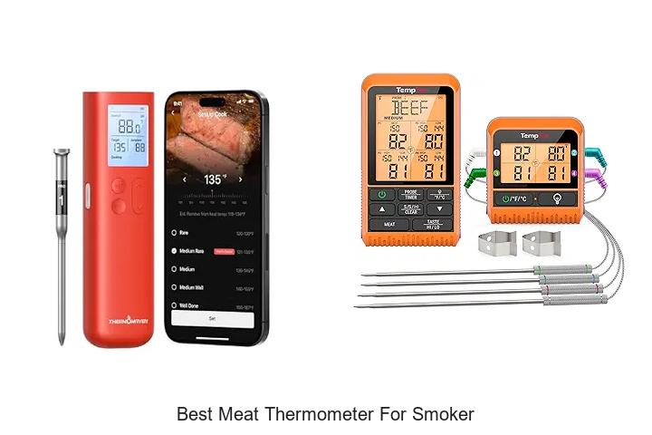 best meat thermometer for smoker