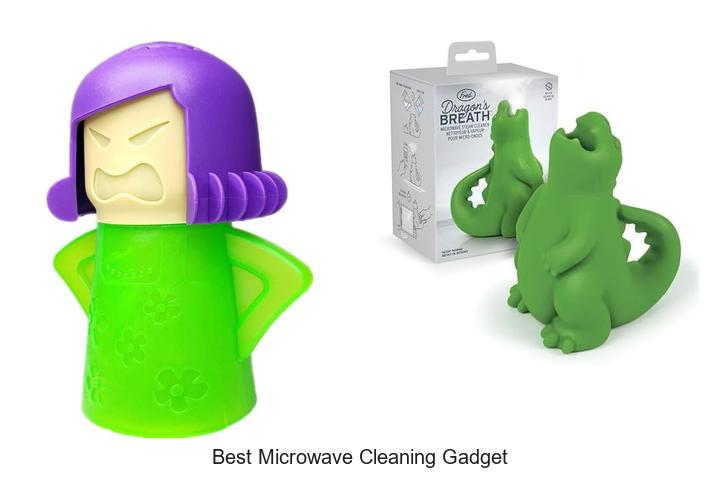 best microwave cleaning gadget