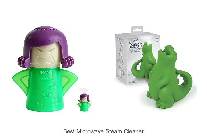 best microwave steam cleaner