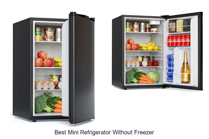 best mini refrigerator without freezer