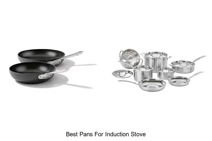 best pans for induction stove