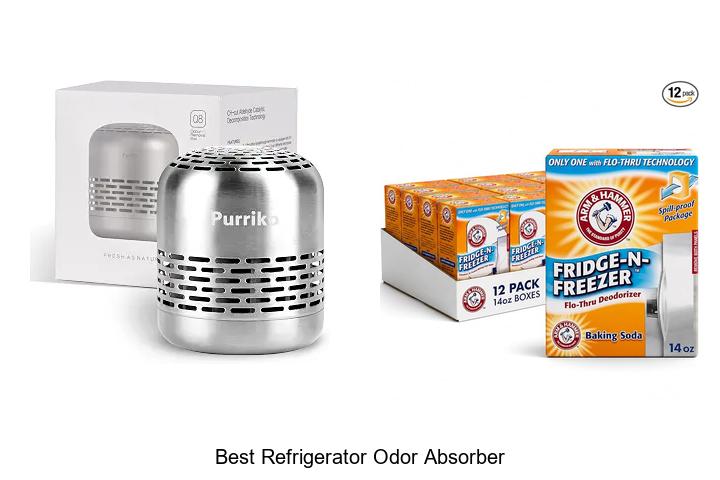 best refrigerator odor absorber