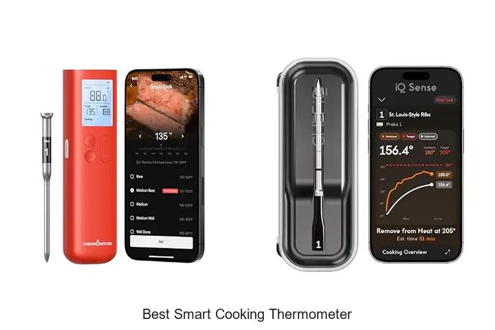 best smart cooking thermometer