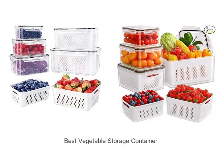 best vegetable storage container